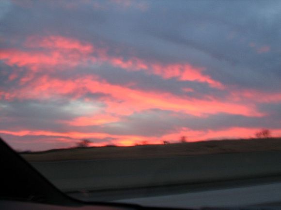IMG_1325.JPG