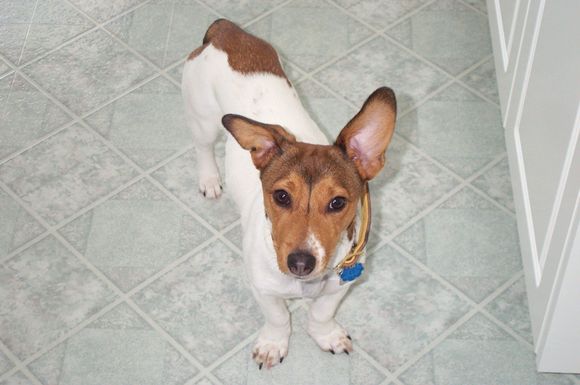 Maggie 004.jpg