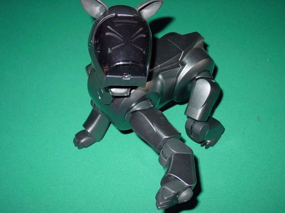 Aibo7.jpg