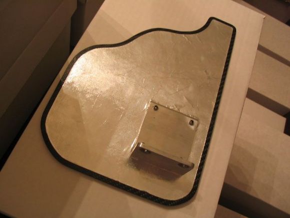 Ztec CF Heat Shield - Back