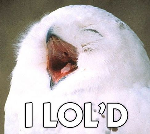 i lol'd