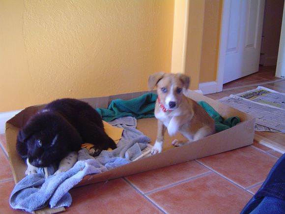 Floppy &amp; Cinnamon 050.jpg