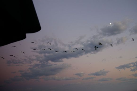 moonshine058.jpg