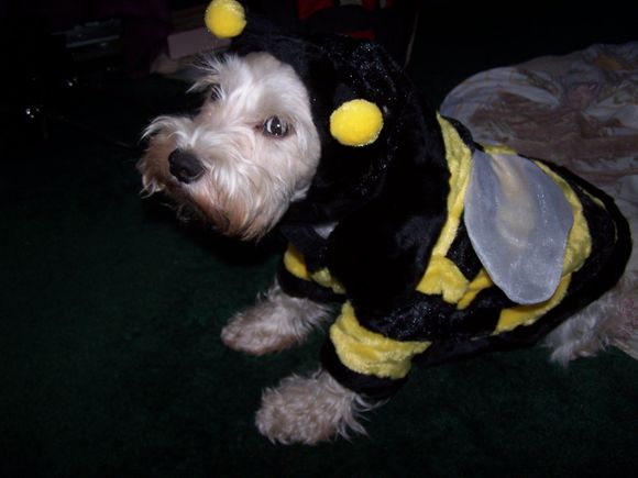 Picture 014.jpg
