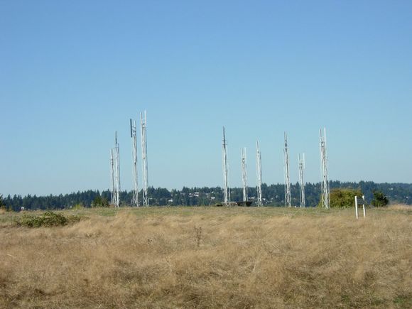 DSCN8183.JPG
