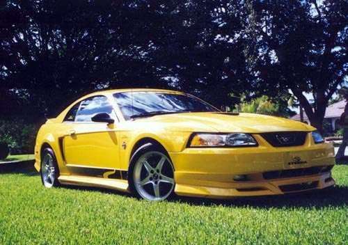 mustangworld1.jpg