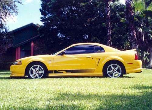 mustangworld2.jpg