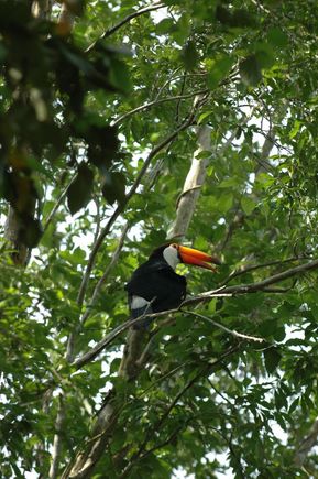DSC_3653.JPG