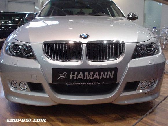 hamann1.jpg