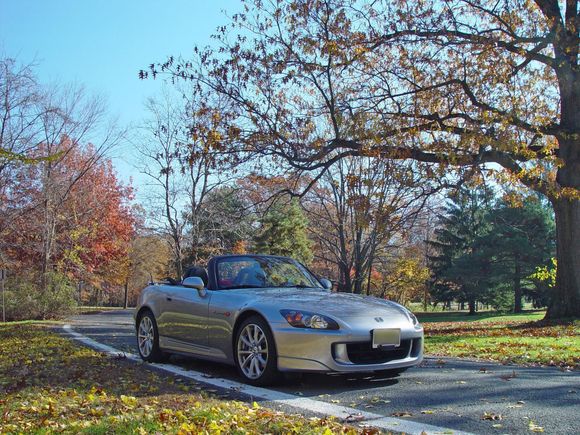 Fall Day - Watchung, NJ