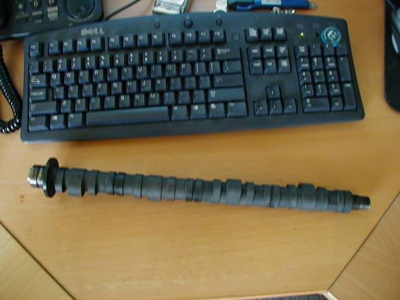 P1010028.JPG