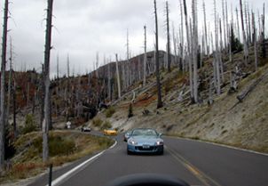 12 LEAVING WINDY RIDGE.jpg