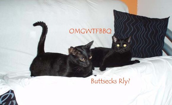 Buttsecks.jpg