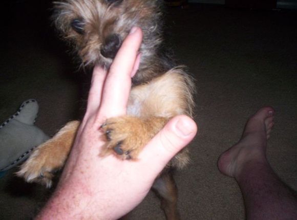 Picture 018.jpg