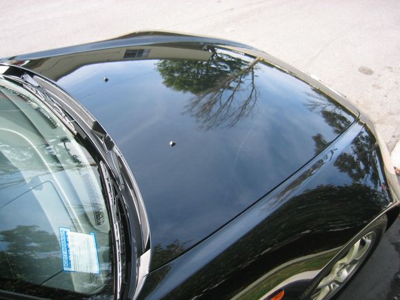 Adrienne S2000 007.jpg