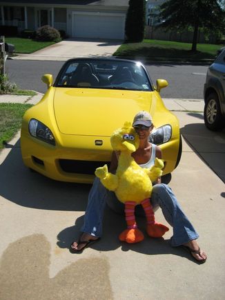 bigbird 020-sm.jpg