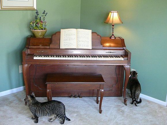 piano.jpg