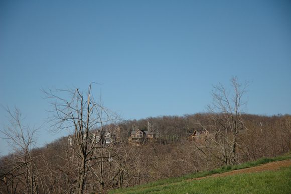WintergreenVista