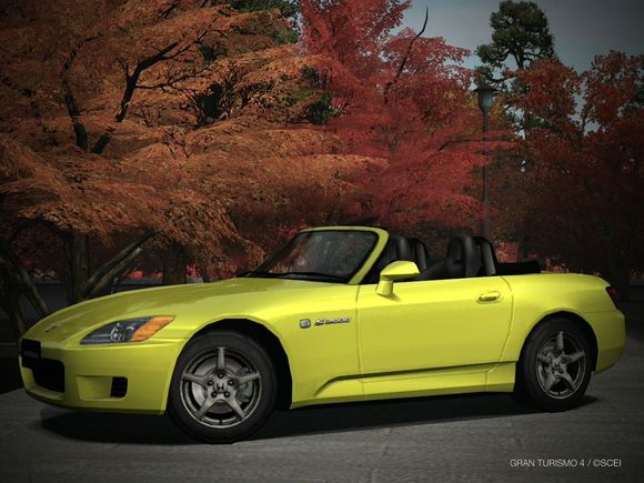 Spa Yellow AP1