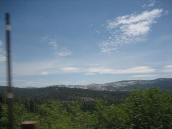 IMG_4367.JPG