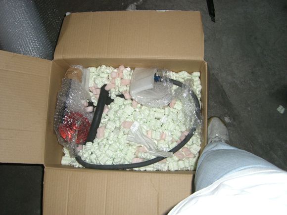 CIMG0620.JPG