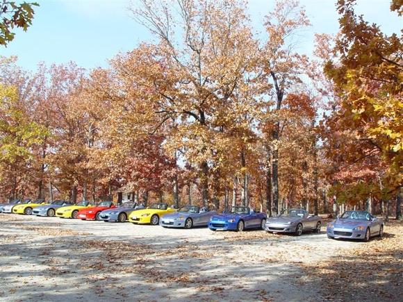 DSC01396 (Medium).JPG