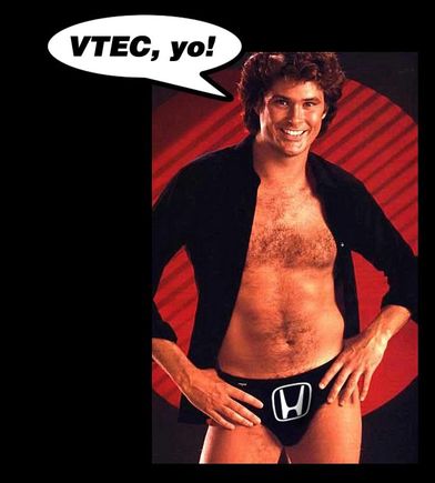 david-hasselhoff.jpg