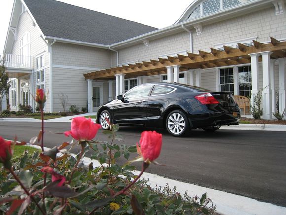 Anna's Accord Coupe 015.jpg