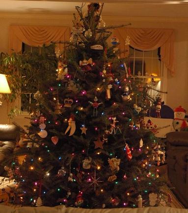 DSC_6917 071215 tree.JPG