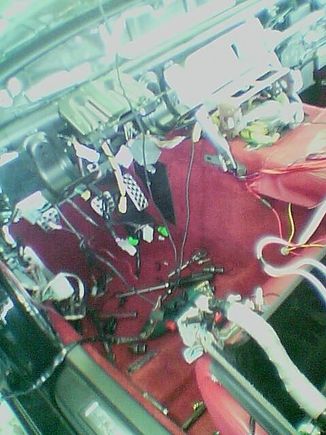 inside.jpg