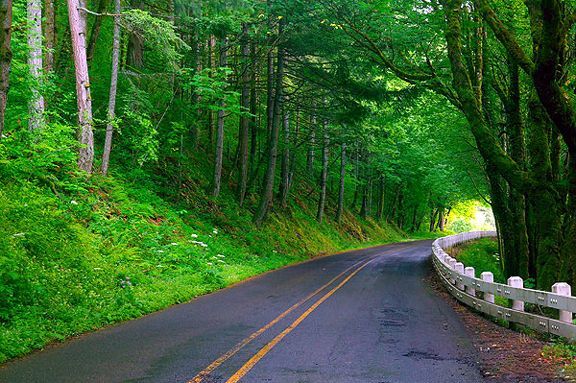 columbia river highway 2 X.jpg