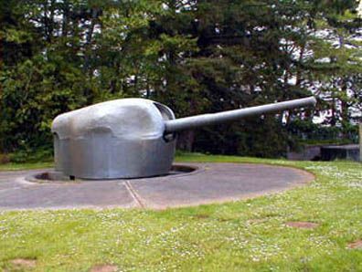 CANNON AT COLUMBIA STATE PARK.jpg