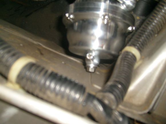 S7301595.JPG