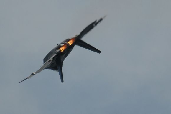 DSC_4269.JPG