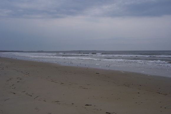 100_1389.jpg