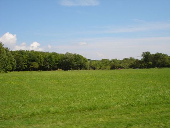 DSC01985a.jpg