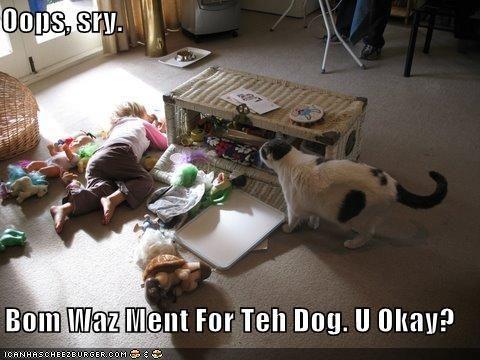 funny-pictures-bomb-goes-off-in-liv.jpg