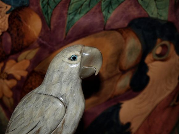 bird 0251.jpg