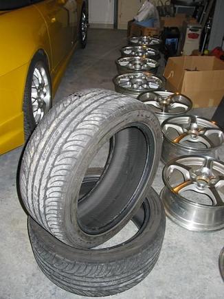 Rears.JPG