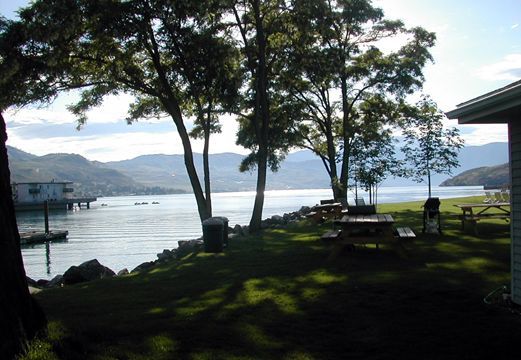 CHELAN LAKE - SHADY.jpg