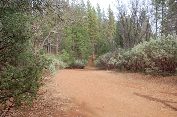 Hole 3.  Impossible to birdie without PERFECT pull (distance