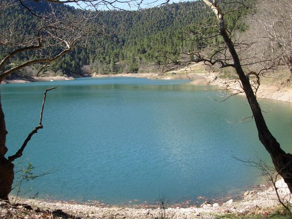 DSC01550_resize.JPG