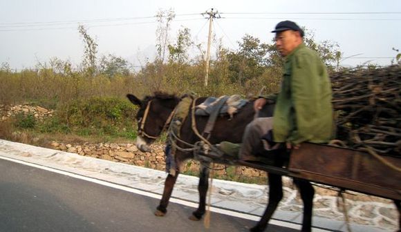 27 donkey power.jpg