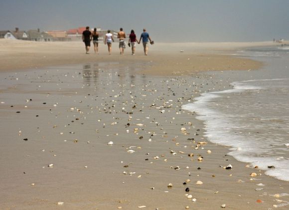 IMG_3036 beach.jpg