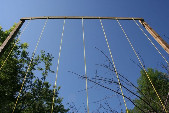 Trellis_top_LR.jpg