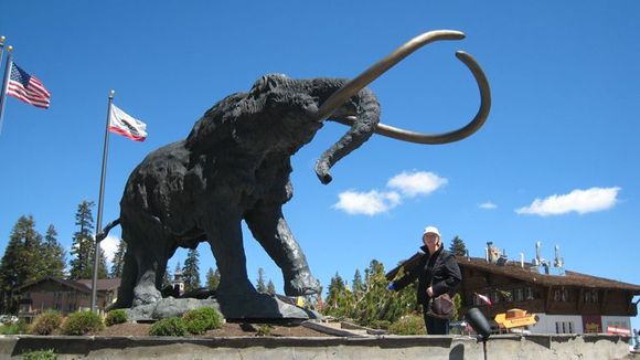 Mammoth debbie.jpg