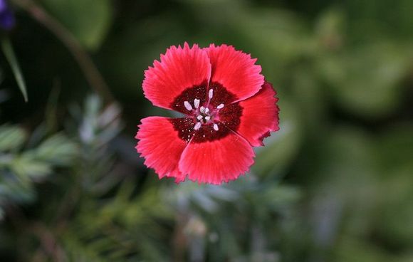IMG_8868.JPG
