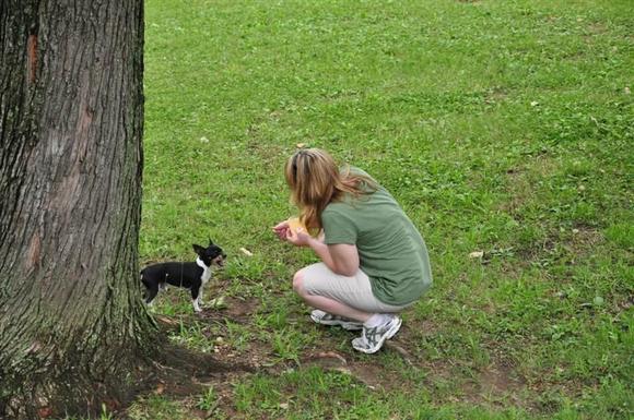 DSC_0130 (Medium).JPG