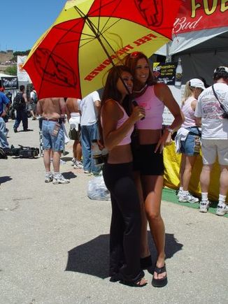 WorldSuperBike2003_3.jpg