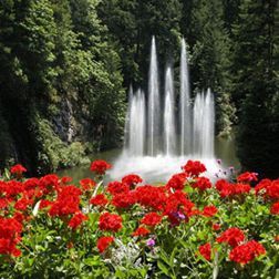 Butchart Gardens fountain and flowers.jpg